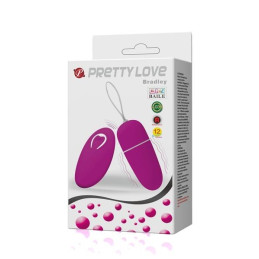 Bradley Oeuf Vibrant Télécommande