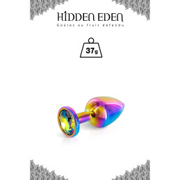 "Rainbow" Plug bijou en...